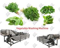 Leaf  Vegetables Washing Machine