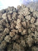 more images of Medical Cannabis/Marijuana Strains and Oil Available .