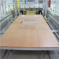 Manufacture supply birch plywood with anti-static