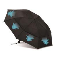 Auto Open And Close 2 Fold Windproof Umbrella
