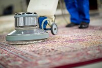 more images of City Rug Cleaning Brisbane