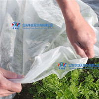 Agriculture using 100% pp spunbond non-woven fabric