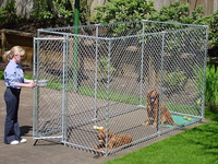 more images of Chain Link Dog Cage