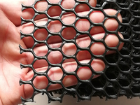 more images of Extruded Plastic Mesh