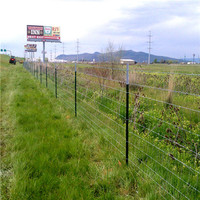 more images of Field Fence