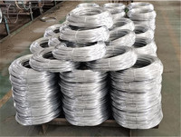 more images of Galvanized Wire