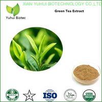 green tea extract,green tea extract powder,bio green tea extract