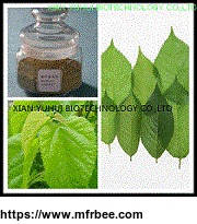 mulberry_leaf_extract_1_deoxynojirimycin_1_dnj_mulberry_leaf_extract_1_dnj