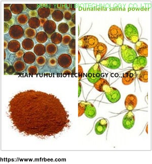 anti_cancer_eye_protecting_natural_salt_algae_extract_salt_algae_powder