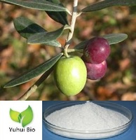 Oleanolic acid, Natural Oleanolic Acid Powder, Oleanolic Acid Extract