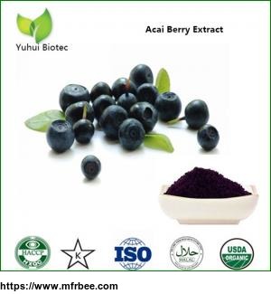 pure_acai_berry_extract_brazilian_acai_extract_acai_berry_freeze_dried_powder