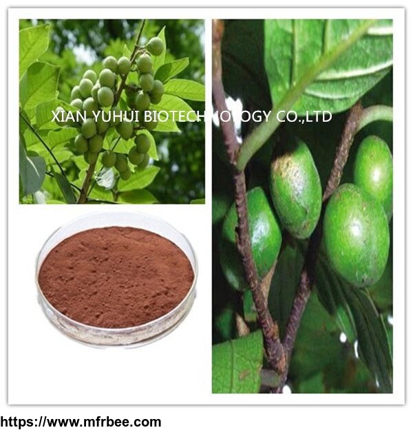phytosterol_price_factory_supply_pygeum_africanum_extract