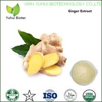 gingerol 5%,ginger powder extract,ginger dry extract,ginger rhizome extract powder