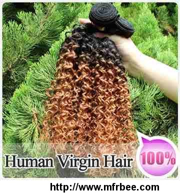 100_percentage_virgin_human_ombre_hair_weave_kinky_curly_weft