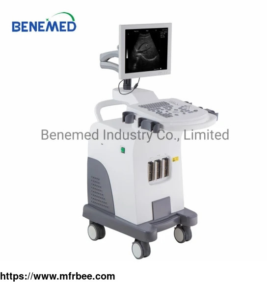 trolly_based_good_resolution_black_and_white_ultrasound_scanner