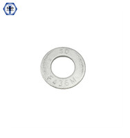 more images of Hardened Steel Flat Washers F436/F436M