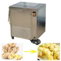 more images of Small Ginger Washing Peeling Machine
