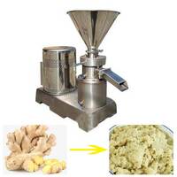 more images of Ginger Paste Grinding Machine