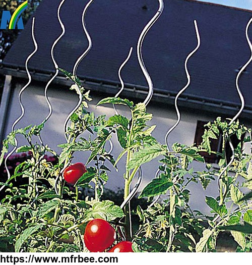 1_8m_length_6mm_diameter_galvanized_tomato_spiral_rod_tomato_spiral_stick_tomato_for_garden