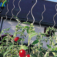 more images of 1.8m Length 6mm Diameter Galvanized Tomato Spiral Rod/Tomato Spiral Stick /Tomato for Garden
