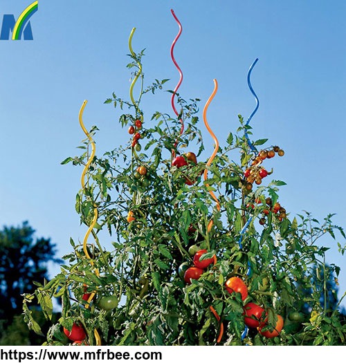 durable_and_robust_tomato_growing_spiral_stake_plant_growing_support_wire