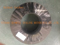 more images of Rubber Gasket