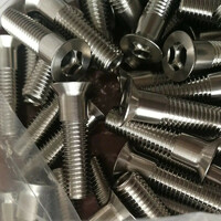 more images of STAINLESS STEEL HOLE SCREWS