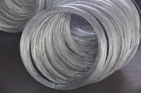 more images of High Quality Zinc Plating Soft Electro Galvanized Iron Wire BWG20
