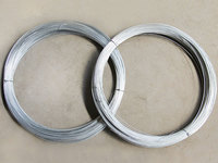 more images of BWG16 Electro Galvanized Iron Binding Wire