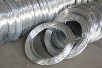 more images of Electric Galvanized Iron Wire BWG8-BWG24