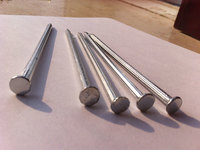 more images of Polished Common Iron Nail