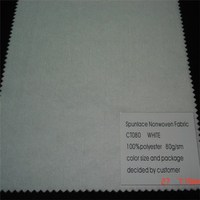 CT080 Spunlace Nonwoven Fabric
