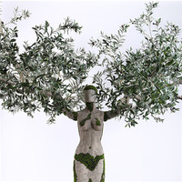 more images of Artificial Silk Olive Tree