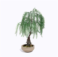more images of Plastic Weeping Willow Bonsai