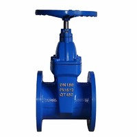 Z45X Series Blind Rod Resilient Seated Gate Valve