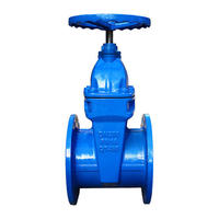more images of Z45X Series Blind Rod Resilient Seated Gate Valve