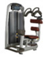Commercial Fitness Equipment Hammer Strength Training Equipment Rotary Torso