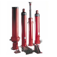 more images of Penta Hydraulic Cylinder