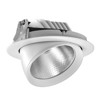 more images of Cob LED Trunk Ceiling Light