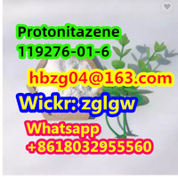 Protonitazene  CAS 119276-01-6