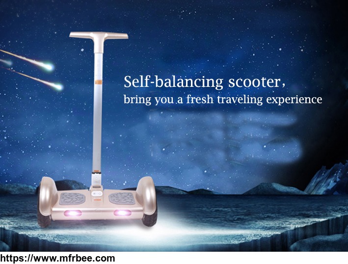 self_balancing_scooter_with_handrail