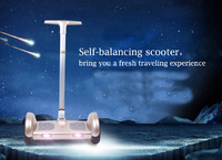 self-balancing scooter with handrail