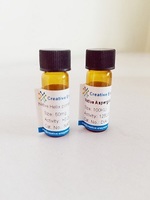 Concentrated lipase for detergent