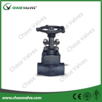 Bolted Bonnet SW Ends Forged Globe Valve
