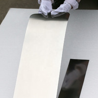 Future Titanium High Quality Annealed Nitinol Shape Memory Foil