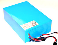 Lithium Compact Battery (Blue) 48V 15ah W/Charger