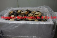 more images of Live African/Atlantic Abalones (Haliotis midae)