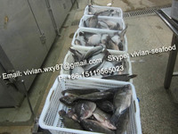 China Frozen Black Tilapia Fish (Oreochromis Niloticus)