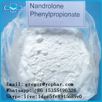 Raw powder CAS 62-90-8 Nandrolone Phenylpropionate