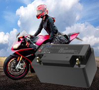 Lithium Motorcycle Starter Battery